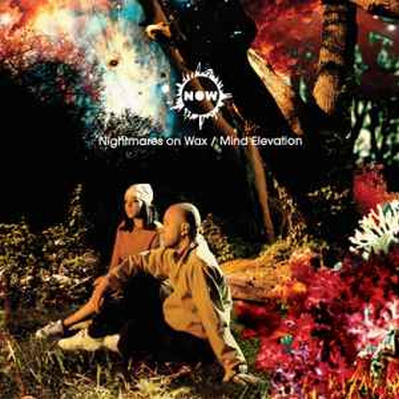mind-elevation