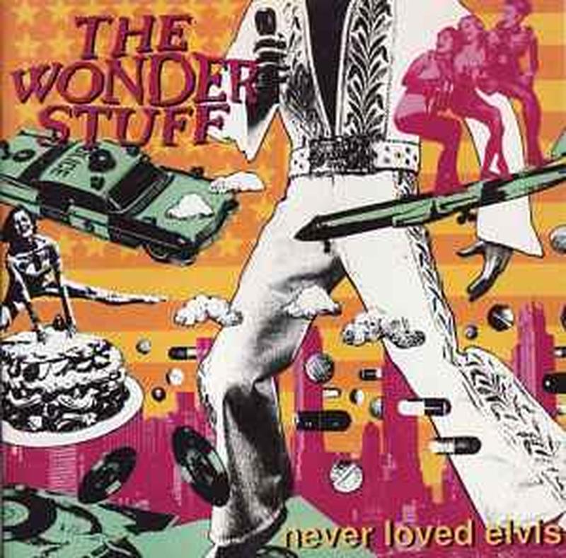 never-loved-elvis