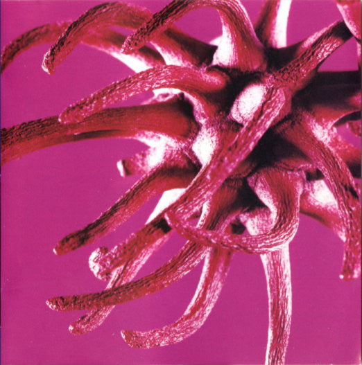 the-album