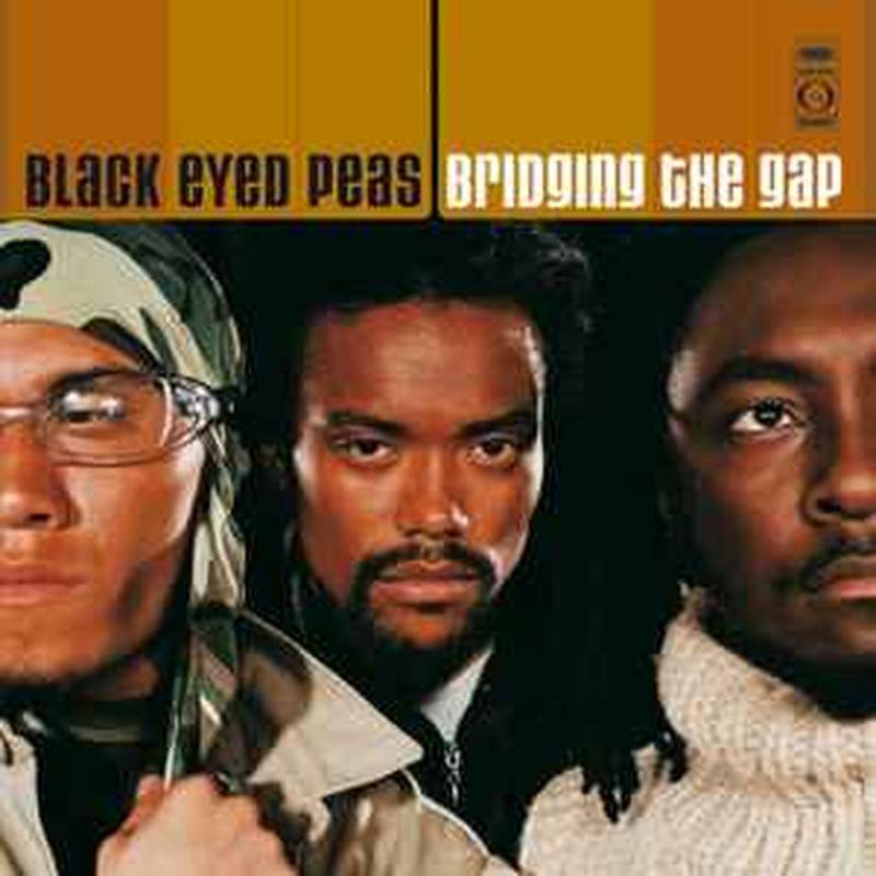 bridging-the-gap