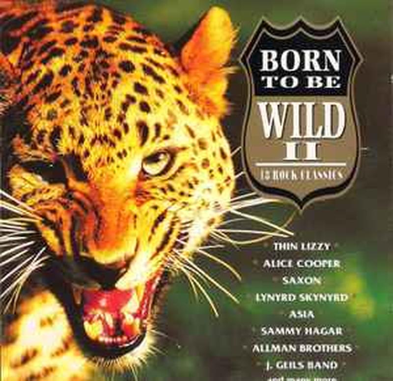 born-to-be-wild-ii