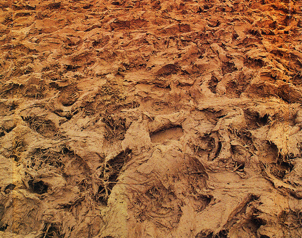 glastonbury-live-97-:-mud-for-it