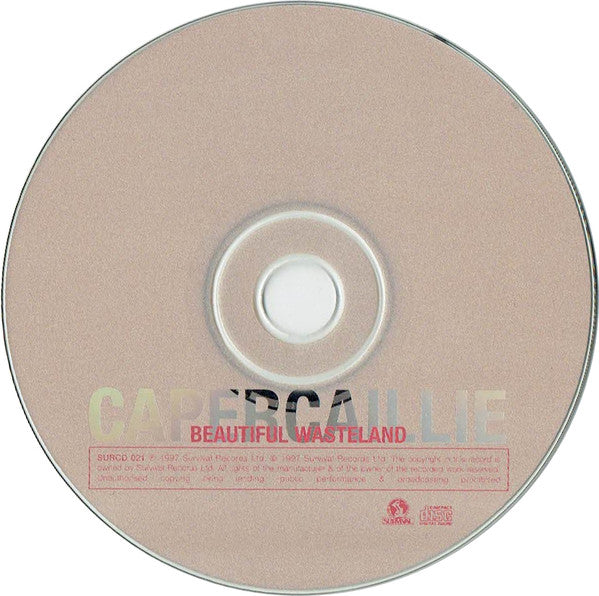 beautiful-wasteland