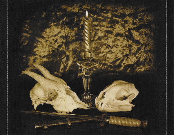 voodoo-blues---the-devil-within