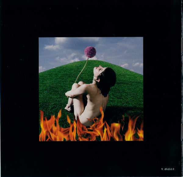 this-fire
