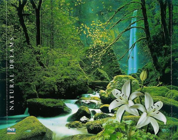 natural-dreams---music-for-relaxation:-natural-jazz