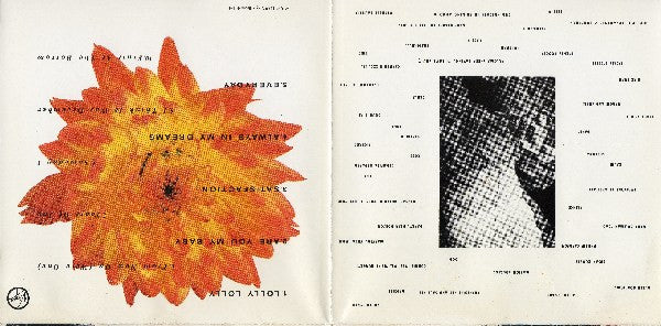 fruit-at-the-bottom