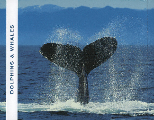 dolphins-&-whales