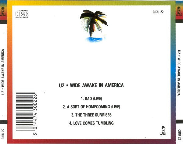 wide-awake-in-america