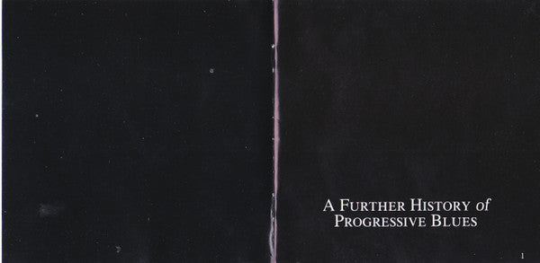 a-further-history-of-progressive-blues