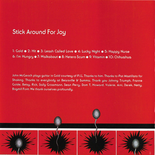 stick-around-for-joy