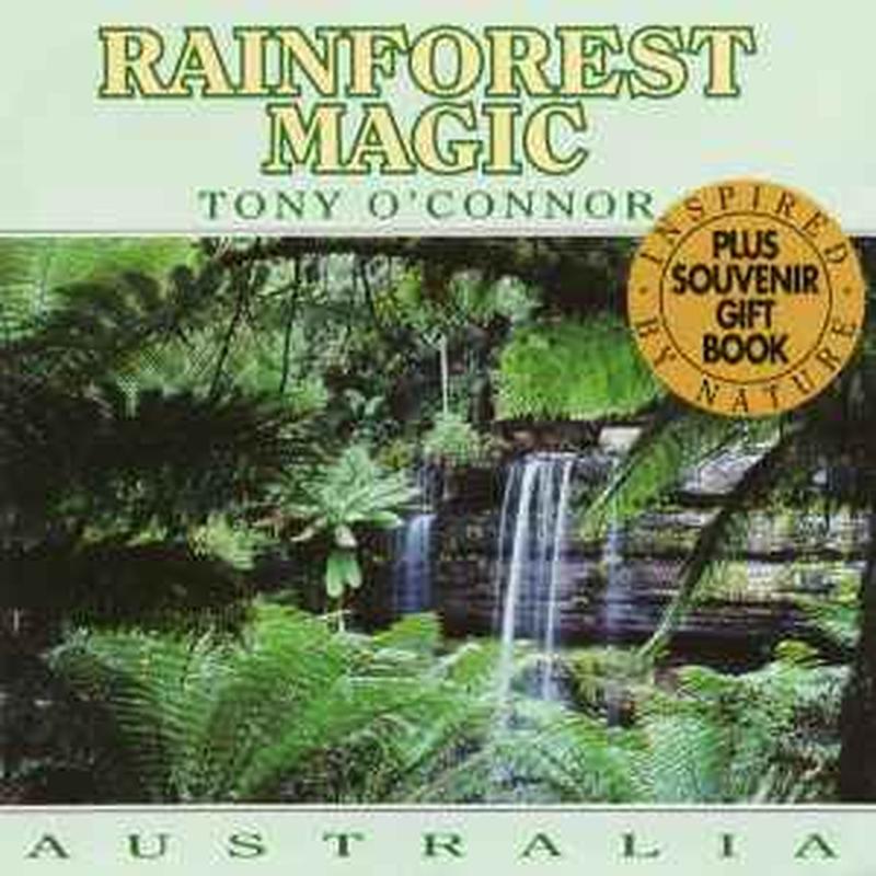 rainforest-magic