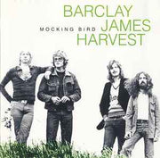 mocking-bird