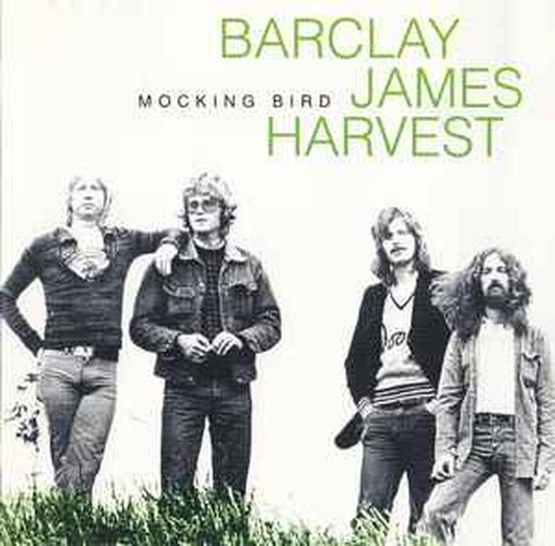 mocking-bird