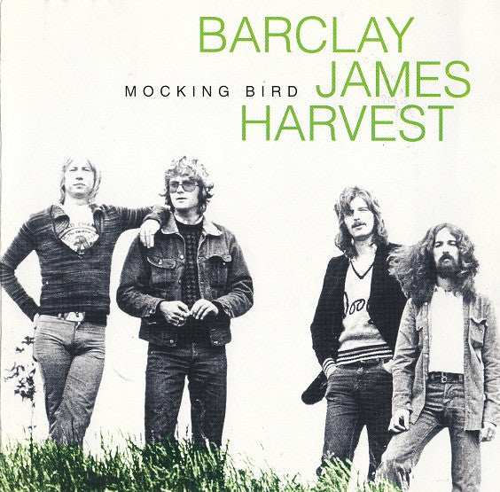 mocking-bird