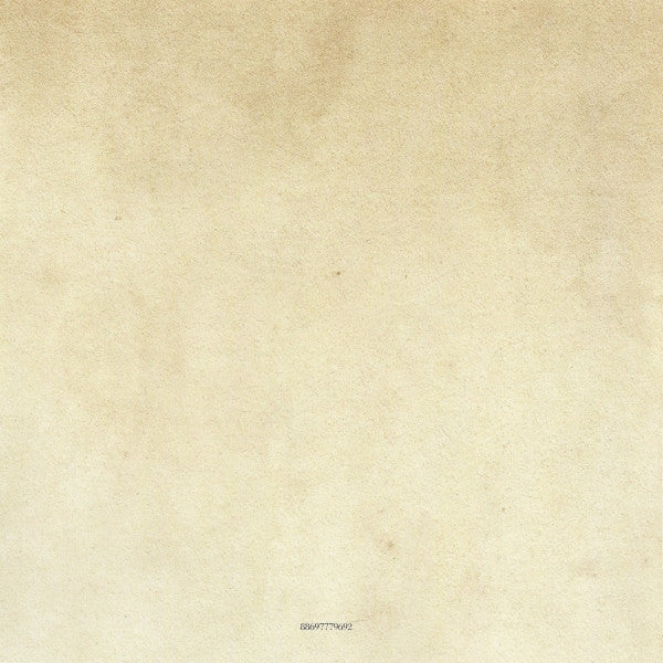 the-silvertone-years