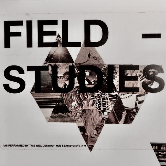 field-studies