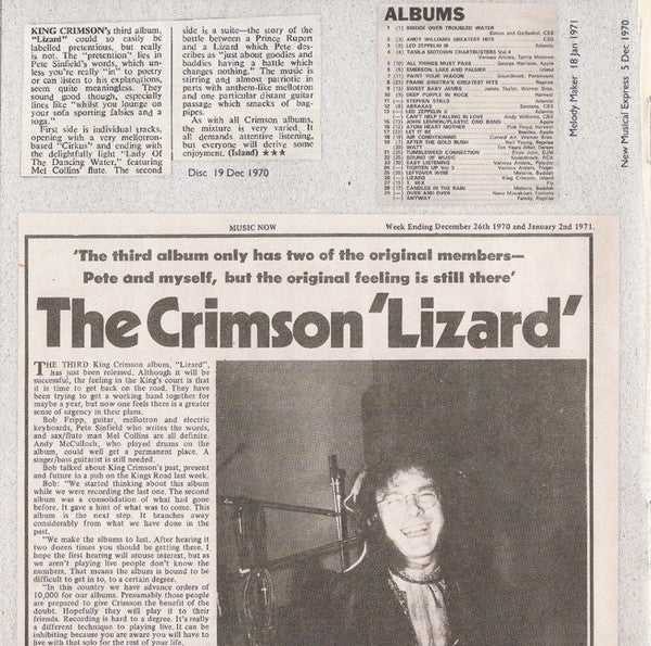lizard