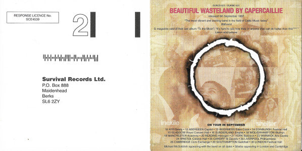 beautiful-wasteland