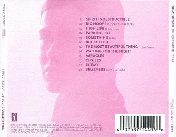 the-spirit-indestructible