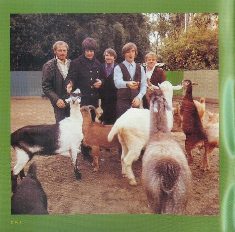 pet-sounds