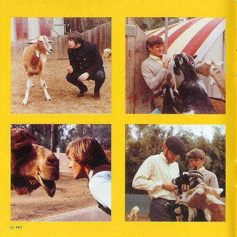 pet-sounds