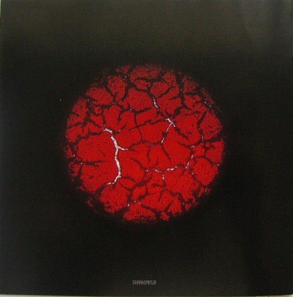 scratch-my-back