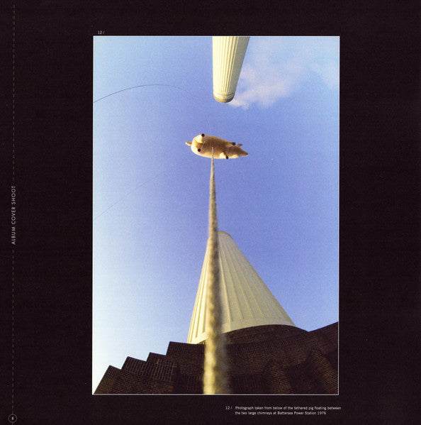 animals-(2018-remix)