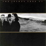 the-joshua-tree
