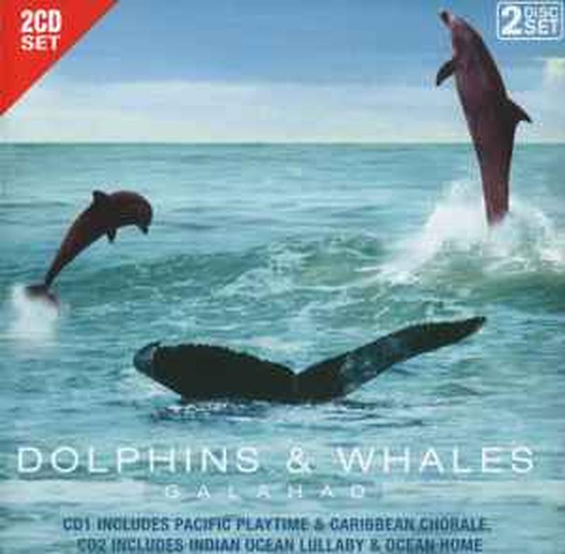 dolphins-&-whales