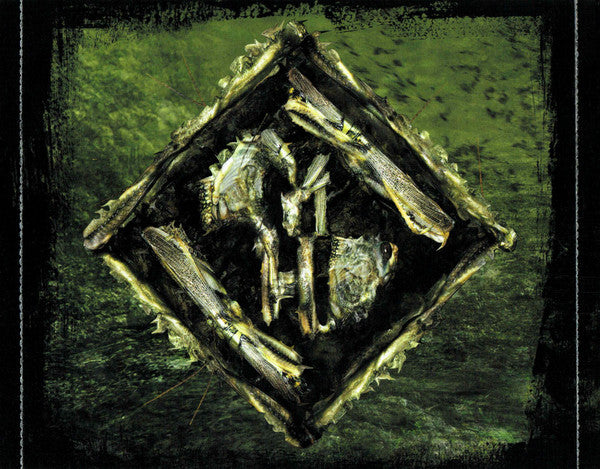 unto-the-locust