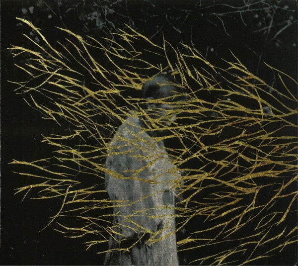 engravings