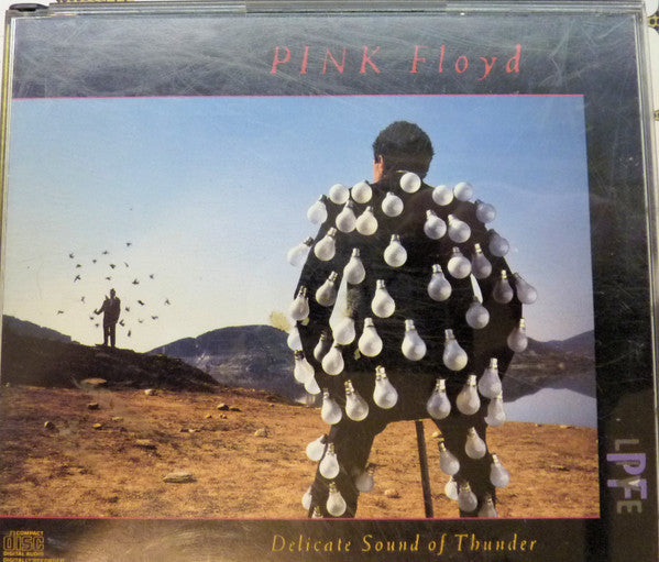 delicate-sound-of-thunder