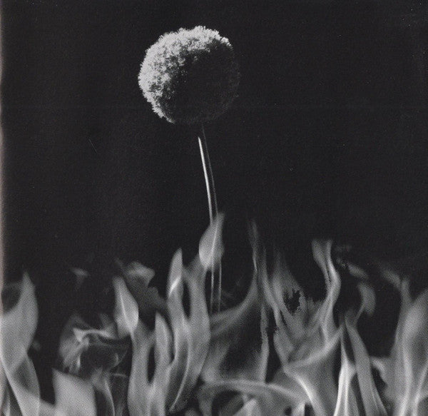 this-fire