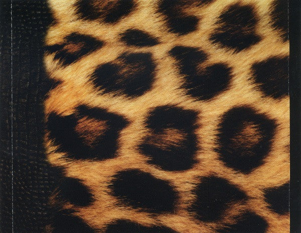 animal-attraction