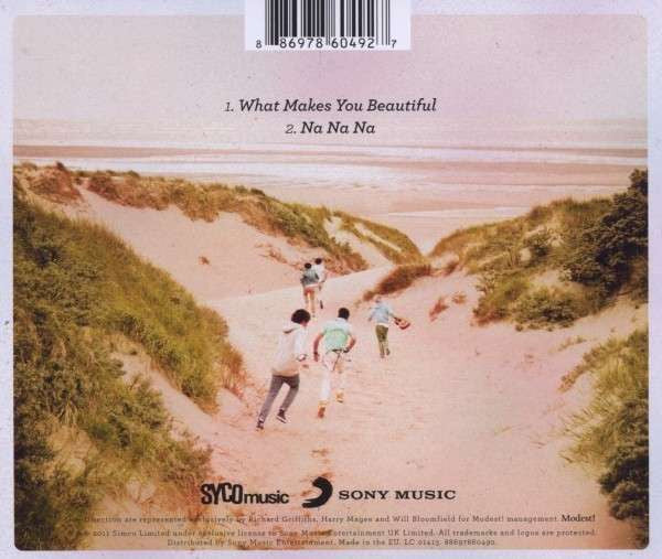 what-makes-you-beautiful