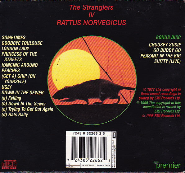 iv-rattus-norvegicus