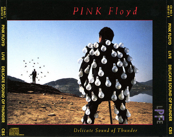 delicate-sound-of-thunder