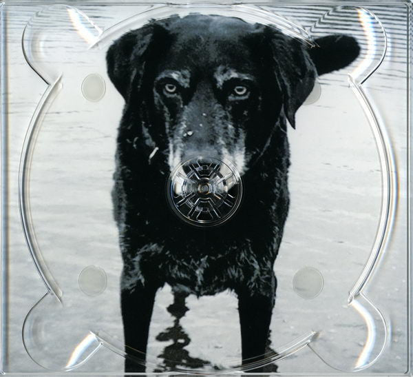 you-cant-teach-an-old-dog-new-tricks
