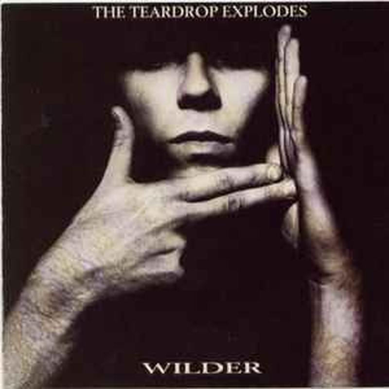 wilder
