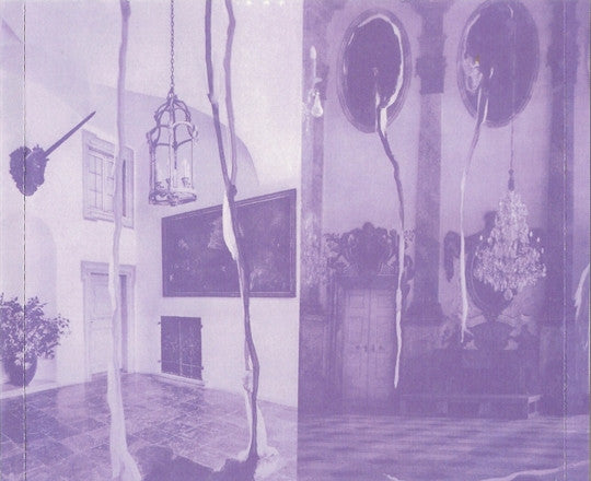 microcastle-/-weird-era-continued