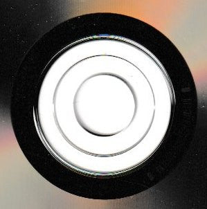 voice-of-the-people