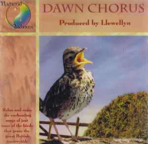 dawn-chorus-