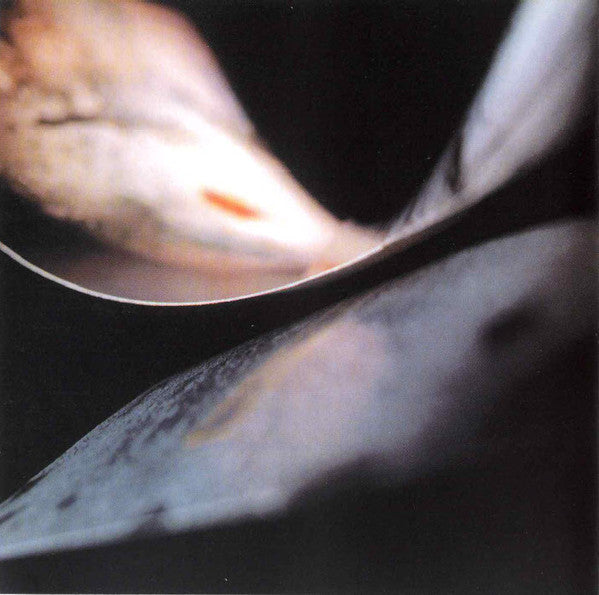 stars-and-topsoil-a-collection-(1982-1990)