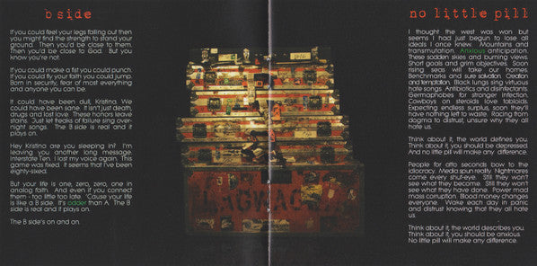 i-think-my-older-brother-used-to-listen-to-lagwagon
