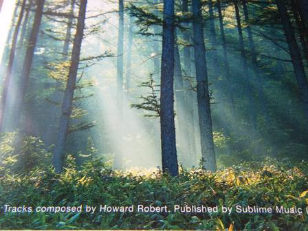 ambient-heaven---sounds-of-the-forest