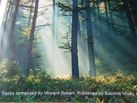 ambient-heaven---sounds-of-the-forest