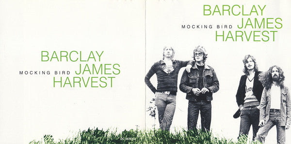 mocking-bird