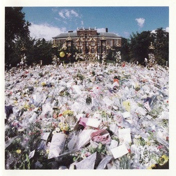 diana,-princess-of-wales-tribute