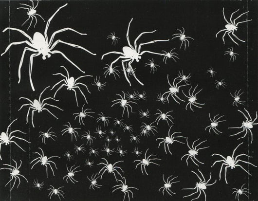 invasion-of-the-spiders---remixed-and-unreleased-tracks